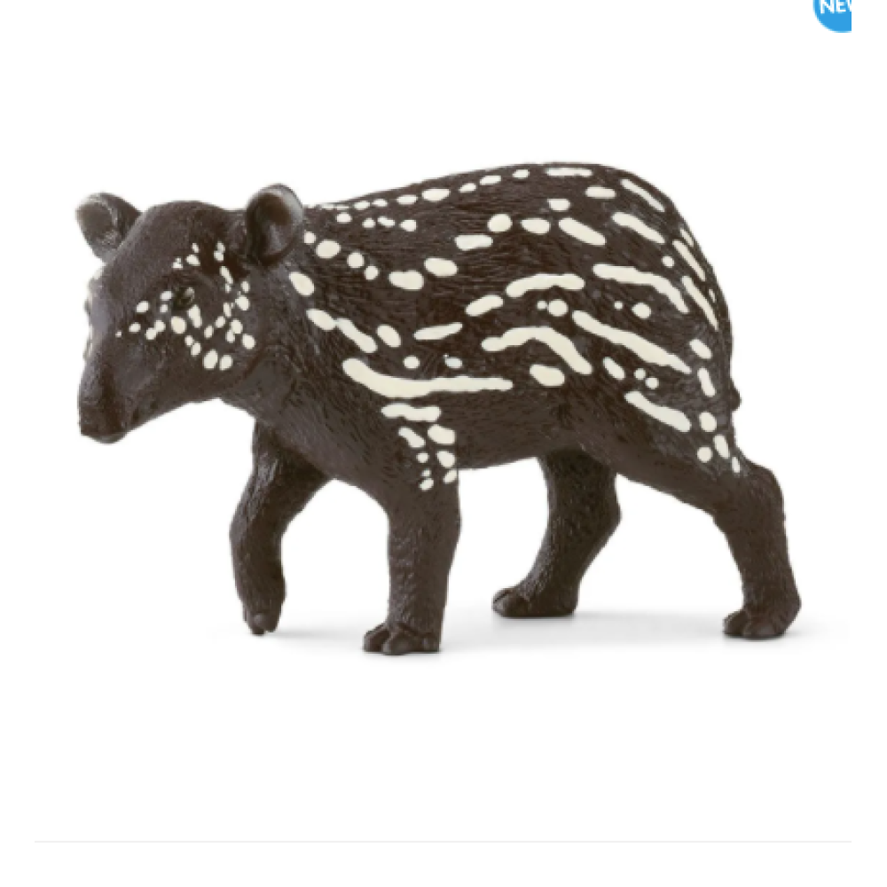 Tapir Baby