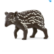 Tapir Baby