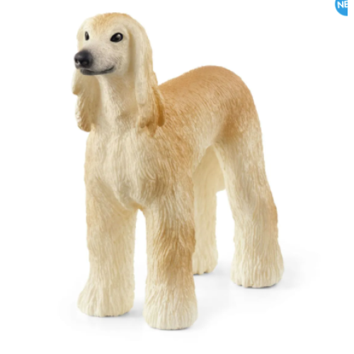 Afghan Hound