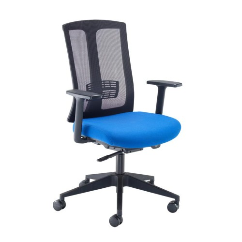 Finish: Blue, Arms: Fixed Arms, Base Type: Black 5 Star, Back Style: Mesh, Lumbar Support: Adjustable Lumbar Support