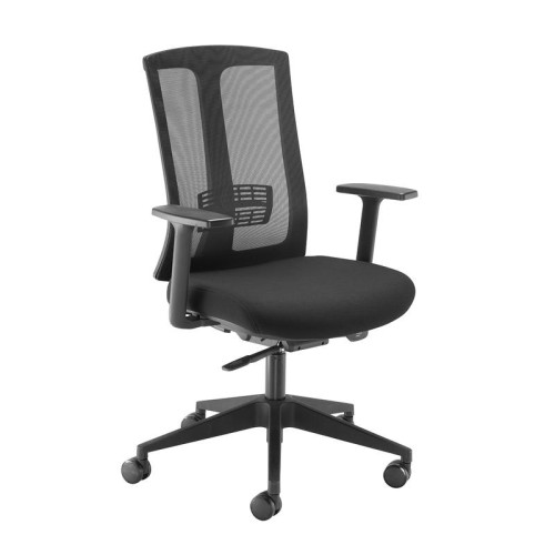 Finish: Black, Arms: Fixed Arms, Base Type: Black 5 Star, Back Style: Mesh, Lumbar Support: Adjustable Lumbar Support