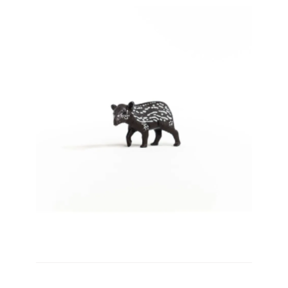 Tapir Baby