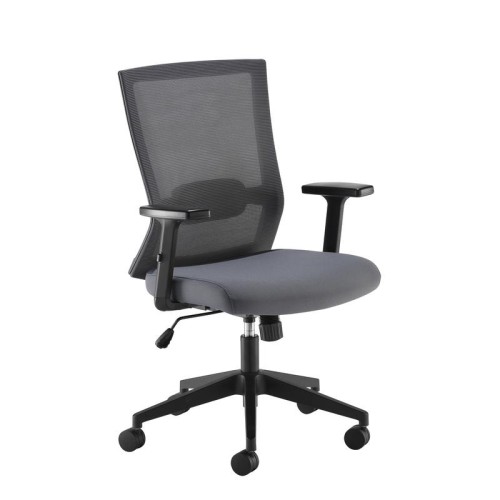 Finish: Grey, Arms: Height Adjustable Arms, Base Type: Black 5 Star, Back Style: Mesh, Lumbar Support: Adjustable Lumbar Support